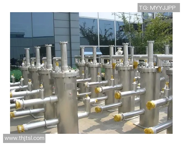 城市赛分析：LNG在耐力赛中的卓越表现与未来展望